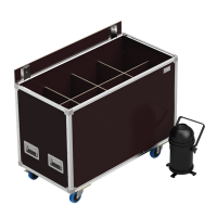 Flight cases for linear projectors & ramps