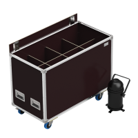 Flight cases for linear projectors & ramps