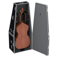 Flight cases for String instruments