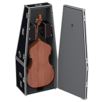 Flight cases for Strings