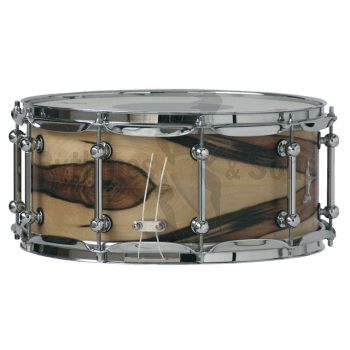 Percussions - Caisse claire de concert Brady 14' x 8'-1