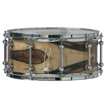 Percussions - Caisse claire de concert Brady 14' x 8'-1