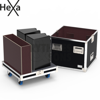 Flight-case 2x D&B U5 avec bac-1