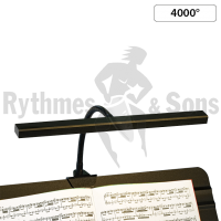 Eclairage Notelight® RYTHMES & SONS 4000°, grand modèle