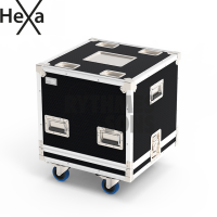 Flight-case 2x D&B U5 avec bac-3