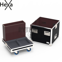 Flight-case 2x D&B U5 avec bac-2